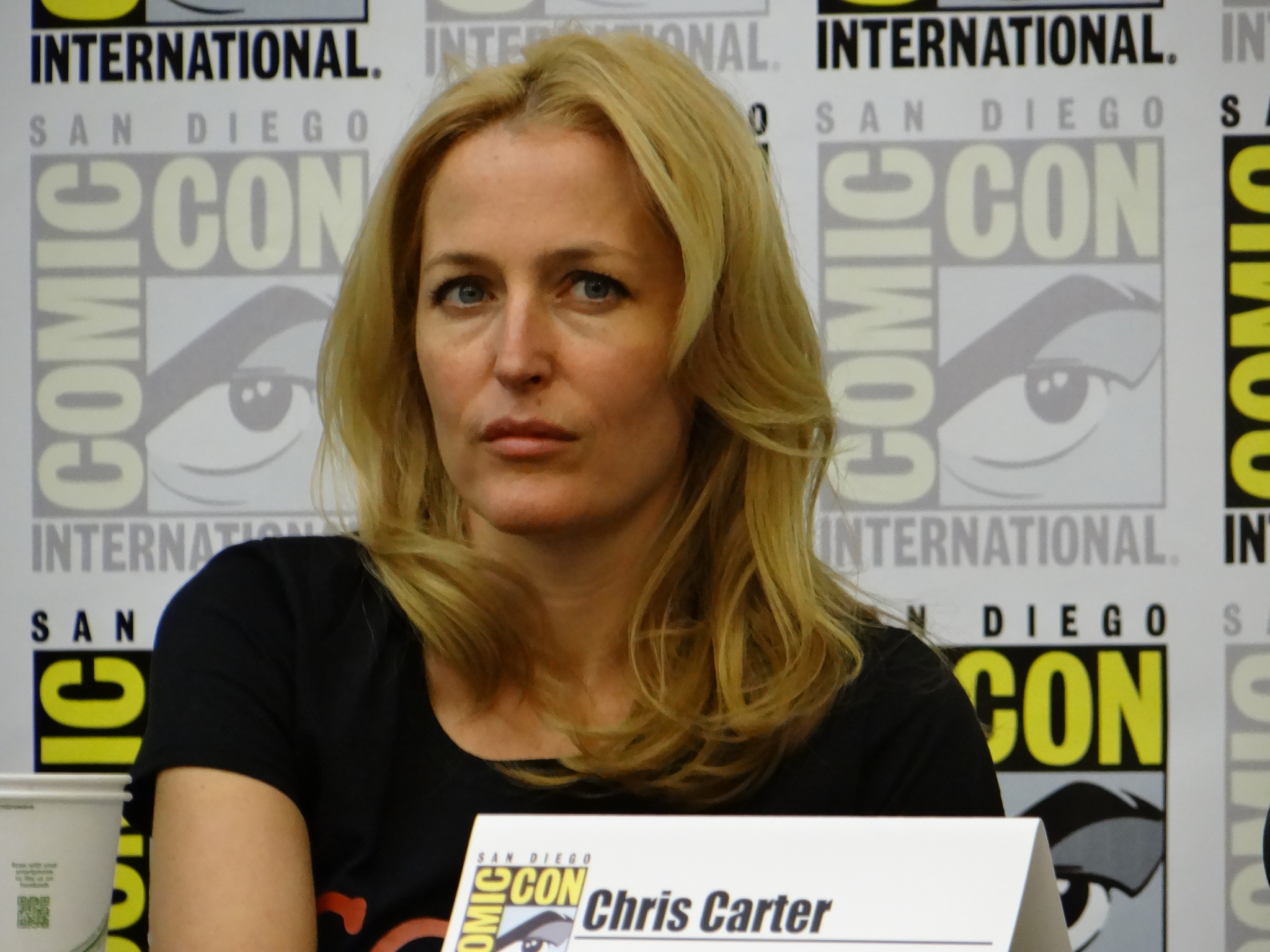 Gillian Anderson 878